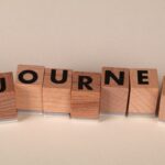 Career Journey Career Journey